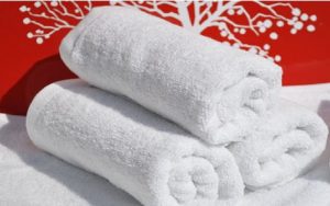 Khăn bông khách sạn Cotton 100%