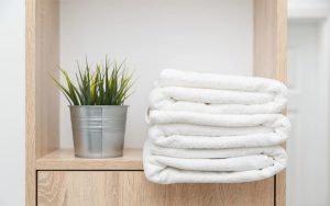 Gấp khăn Spa kiểu Pháp độc đáo